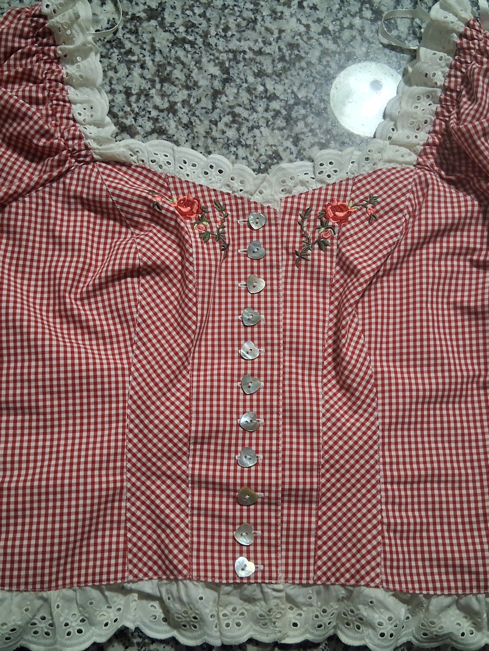 Red Gingham Embroidered Lace-Trim Crop Top